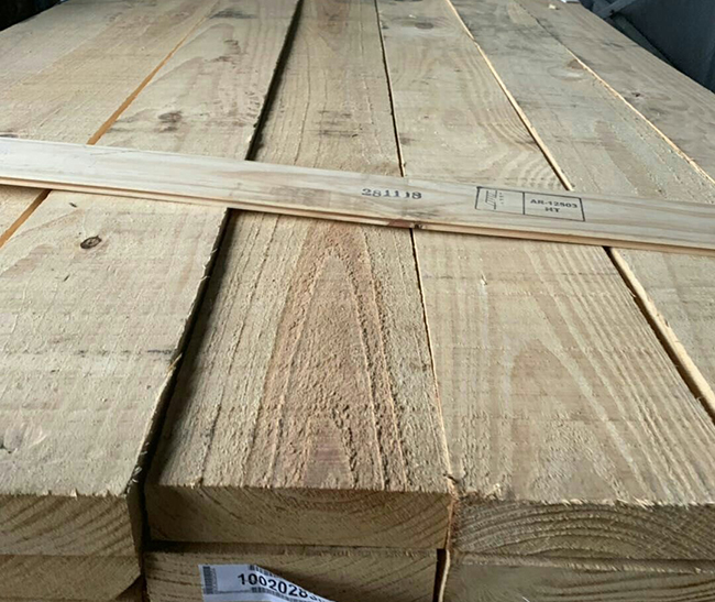 洛浦阿根廷松木